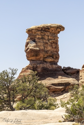 Canyonlands National Park June 2025